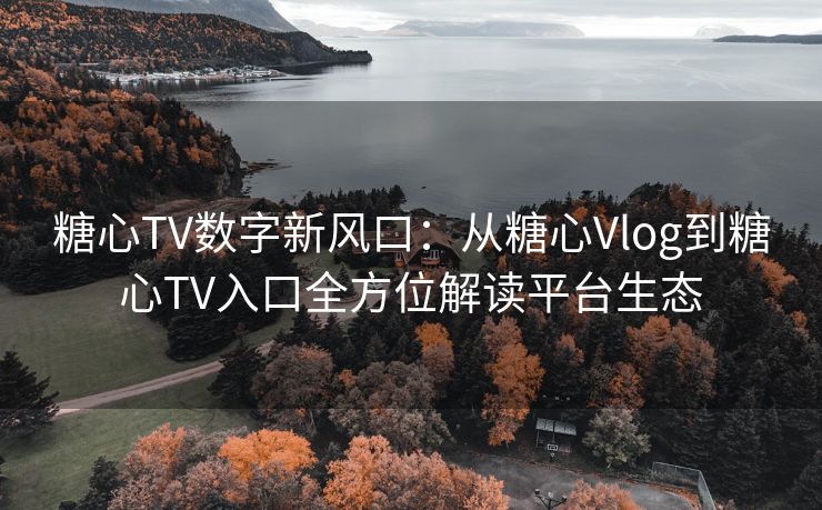 糖心TV数字新风口：从糖心Vlog到糖心TV入口全方位解读平台生态